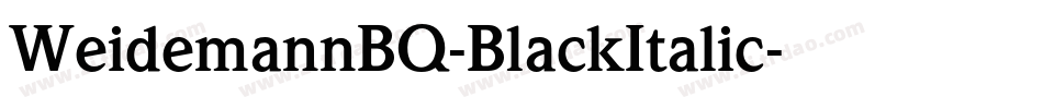 WeidemannBQ-BlackItalic字体转换