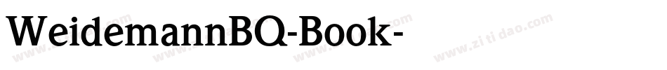 WeidemannBQ-Book字体转换