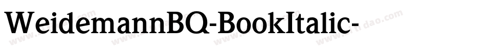 WeidemannBQ-BookItalic字体转换