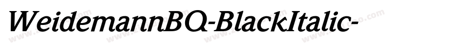 WeidemannBQ-BlackItalic字体转换