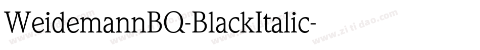 WeidemannBQ-BlackItalic字体转换