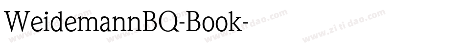 WeidemannBQ-Book字体转换