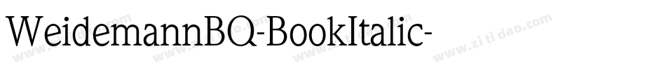 WeidemannBQ-BookItalic字体转换