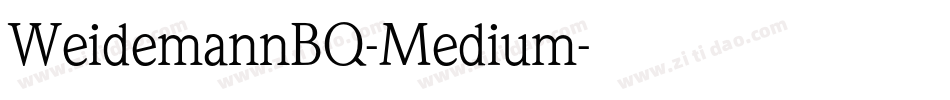 WeidemannBQ-Medium字体转换