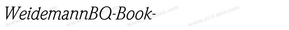 WeidemannBQ-Book字体转换