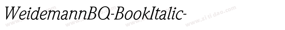 WeidemannBQ-BookItalic字体转换