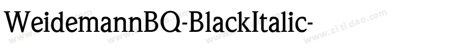WeidemannBQ-BlackItalic字体转换