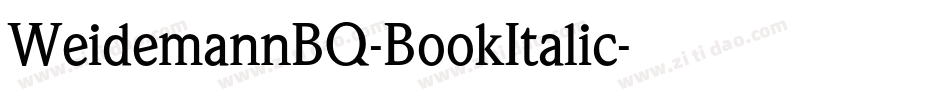WeidemannBQ-BookItalic字体转换