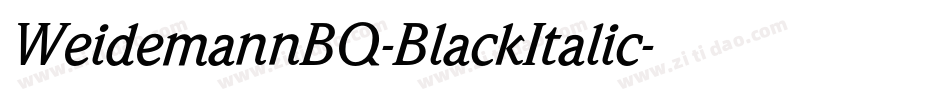 WeidemannBQ-BlackItalic字体转换