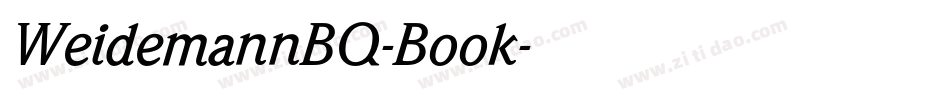 WeidemannBQ-Book字体转换