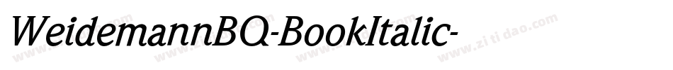 WeidemannBQ-BookItalic字体转换
