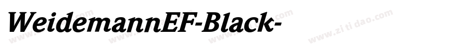 WeidemannEF-Black字体转换