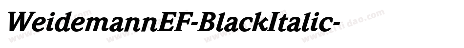WeidemannEF-BlackItalic字体转换