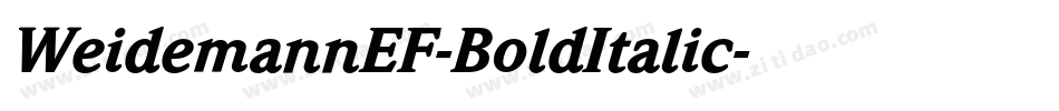 WeidemannEF-BoldItalic字体转换