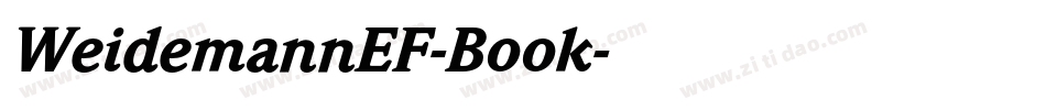WeidemannEF-Book字体转换