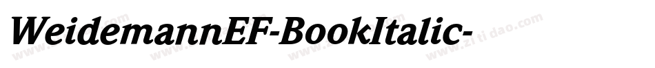 WeidemannEF-BookItalic字体转换
