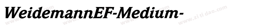 WeidemannEF-Medium字体转换