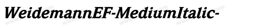 WeidemannEF-MediumItalic字体转换