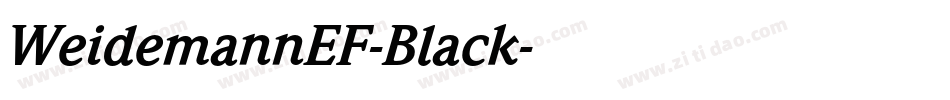 WeidemannEF-Black字体转换