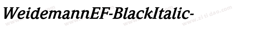 WeidemannEF-BlackItalic字体转换