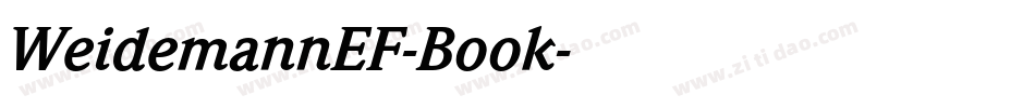 WeidemannEF-Book字体转换