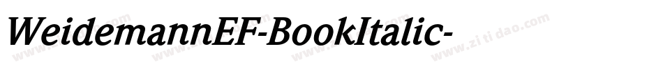 WeidemannEF-BookItalic字体转换