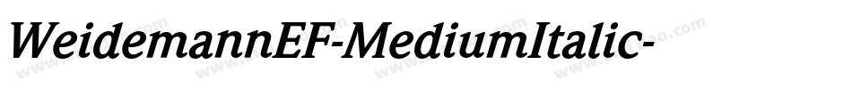 WeidemannEF-MediumItalic字体转换