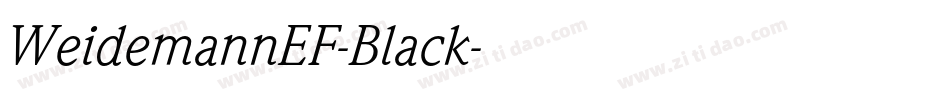 WeidemannEF-Black字体转换