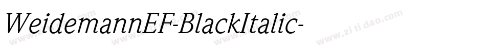 WeidemannEF-BlackItalic字体转换