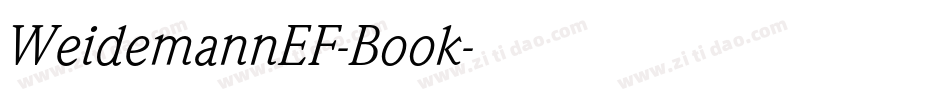 WeidemannEF-Book字体转换