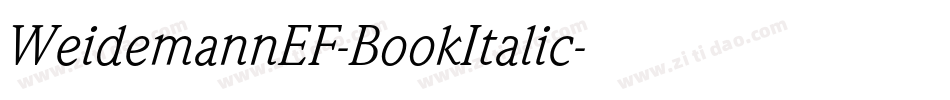 WeidemannEF-BookItalic字体转换