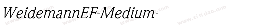 WeidemannEF-Medium字体转换