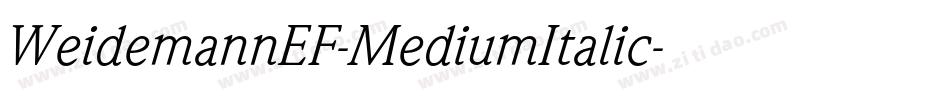 WeidemannEF-MediumItalic字体转换