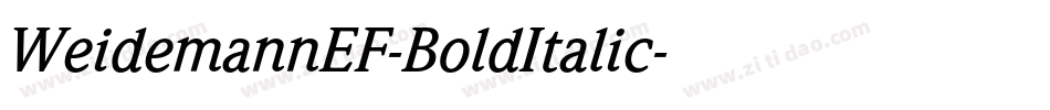 WeidemannEF-BoldItalic字体转换