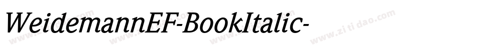 WeidemannEF-BookItalic字体转换