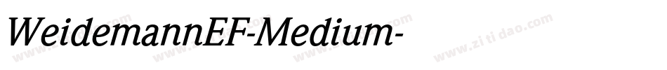 WeidemannEF-Medium字体转换