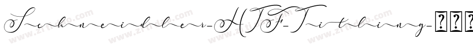Schneidler-HTF-Titling字体转换