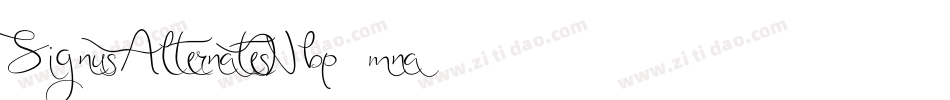 SignusAlternatesNbp-mna2字体转换 SignusAlternatesNbp-mna2字体转换
