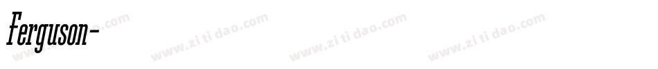 Ferguson字体转换