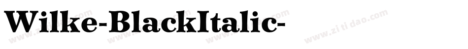 Wilke-BlackItalic字体转换