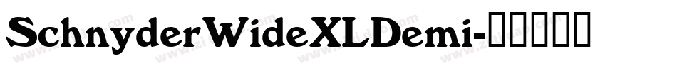 SchnyderWideXLDemi字体转换