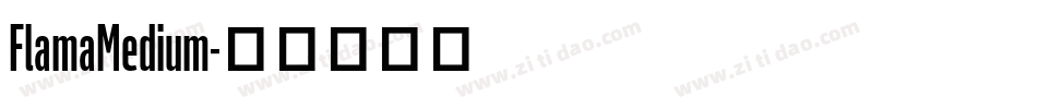FlamaMedium字体转换