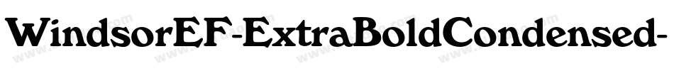 WindsorEF-ExtraBoldCondensed字体转换