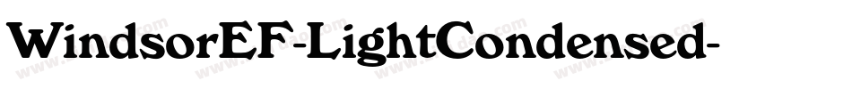 WindsorEF-LightCondensed字体转换