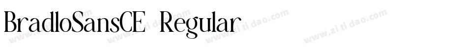 BradloSansCE-Regular字体转换