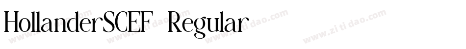 HollanderSCEF-Regular字体转换