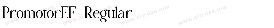 PromotorEF-Regular字体转换