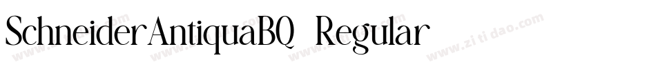 SchneiderAntiquaBQ-Regular字体转换