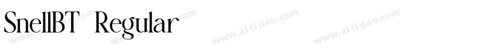 SnellBT-Regular字体转换