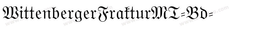 WittenbergerFrakturMT-Bd字体转换